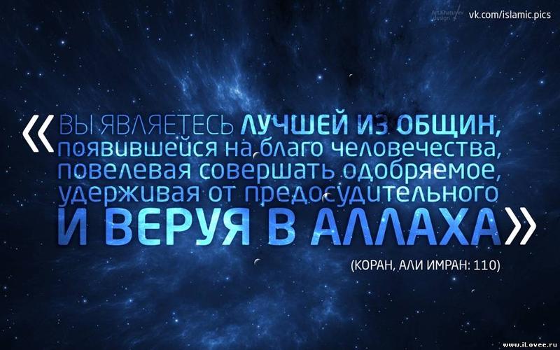 Цитаты фразы из корана Цитаты фразы из корана