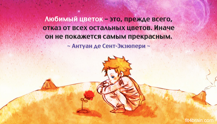Цитаты о цветах с картинками Цитаты о цветах с картинками