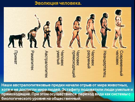 Поэтапное развитие личности Поэтапное развитие личности