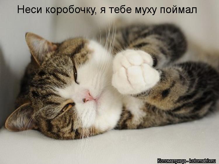 Раскраски несложные и красивые Раскраски несложные и красивые