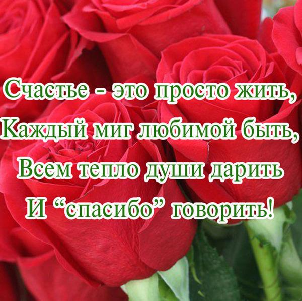 Цитаты стихи счастья вам Цитаты стихи счастья вам