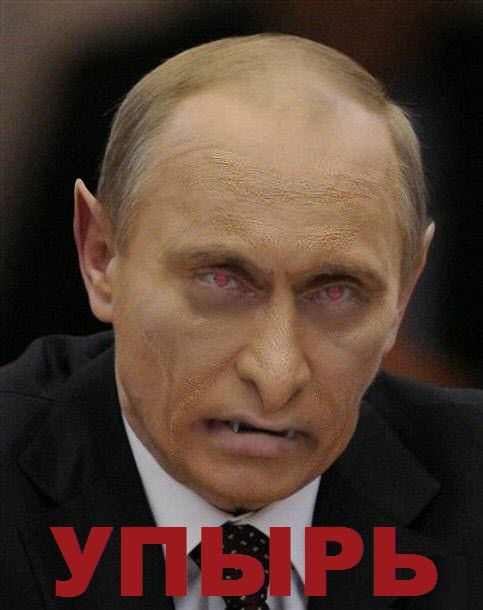Что одевает путин Что одевает путин