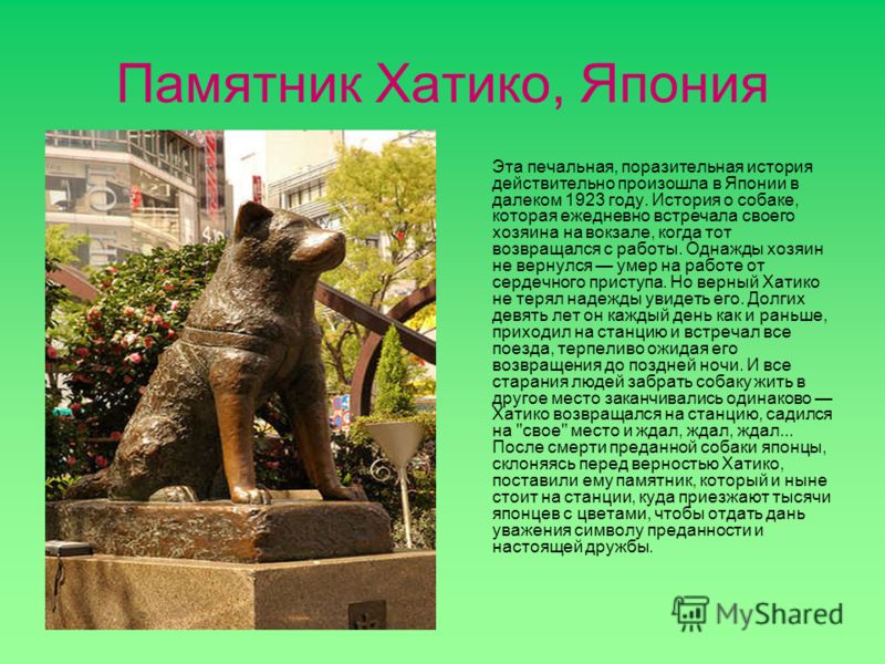 Памятник хатико где находится Памятник хатико где находится