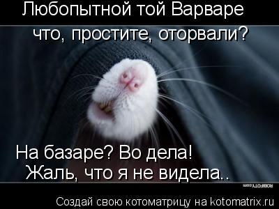 Статус про любопытства Статус про любопытства