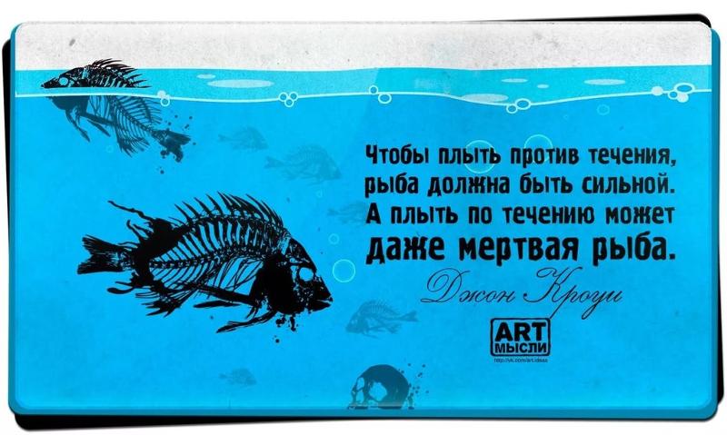 Течение fo: цитаты и афоризмы Фраза восточная мудрость! (высказывание, цитата, афоризм)