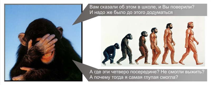 Почему человек произошел не от обезьяны Почему человек произошел не от обезьяны