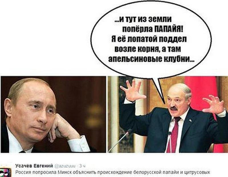 Бульбаши анекдоты Бульбаши анекдоты