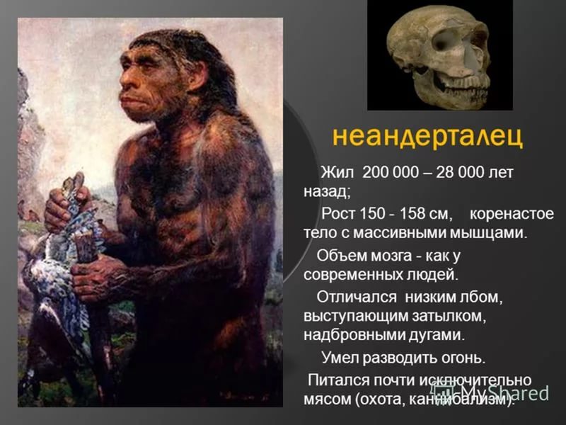 Поу которому 200 лет