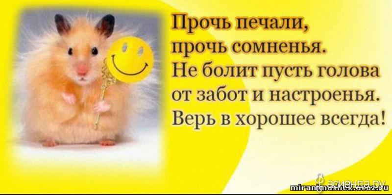 Пожелания позитивные все будет хорошо Пожелания позитивные все будет хорошо