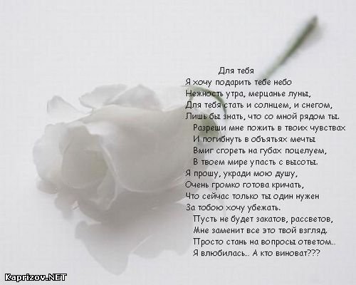 Поздравления на Благодарность воспитателям детского сада от родителей Поздравления в прозе с днем рождения. Тексты прекрасных