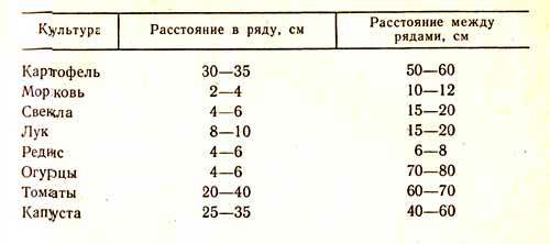 На каком расстоянии сажают картошку 91