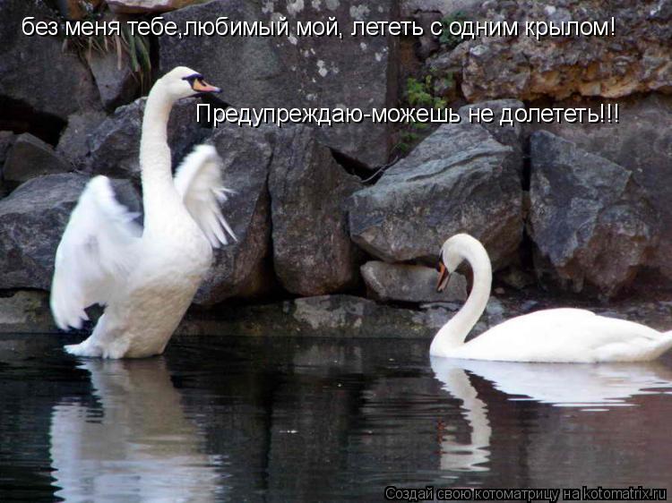 Ты мне крылья не свяжешь Ты мне крылья не свяжешь