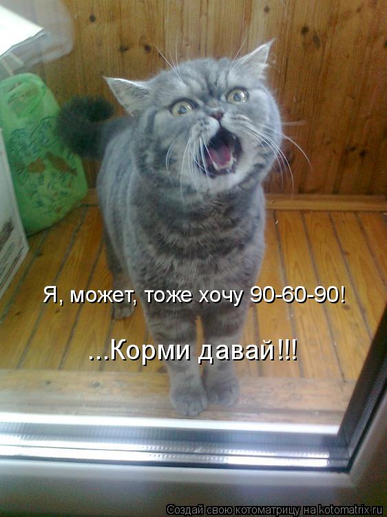 Фотография на подушку Фотография на подушку
