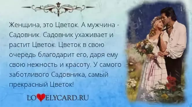 Статусы про цветы цветам розы букет цветочный. - Шутки Статусы про цветы Статусы обо всем - Статусы и цитаты