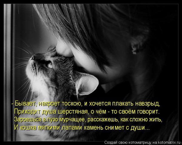 Почему так грустно на душе и хочется плакать Почему так грустно на душе и хочется плакать