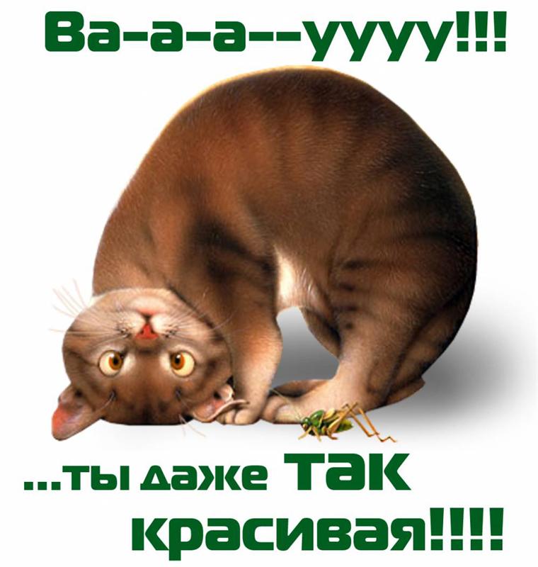 Как сделать комплимент женщине от женщины 587