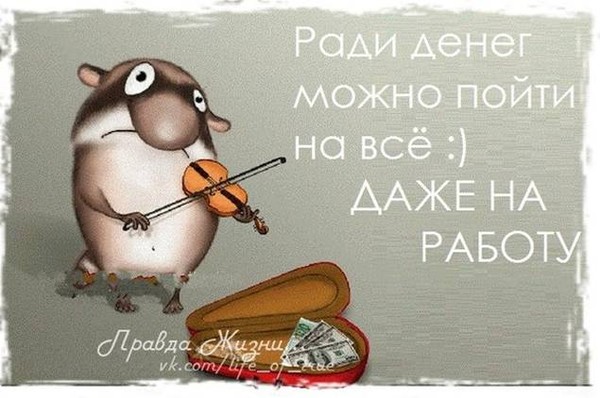 Смешные фразы в открытках 34