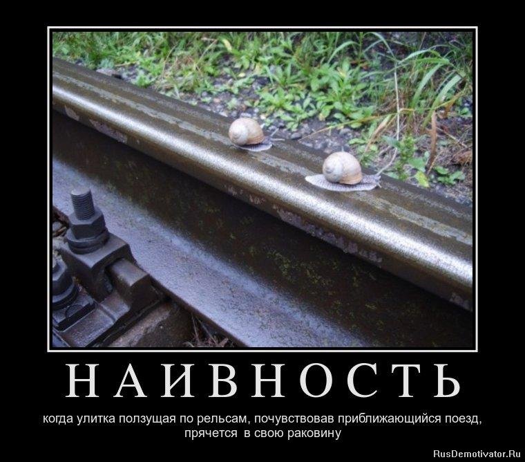 В силу своей доверчивости В силу своей доверчивости