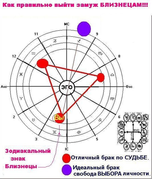 Дерево Близнецов По Гороскопу Женщины Какое