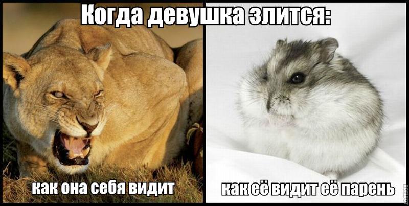 Можно злиться что все пошло не такое Можно злиться что все пошло не такое