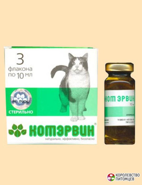 Чем лечить кота от мочекаменной болезни в домашних условиях Чем лечить кота от мочекаменной болезни в