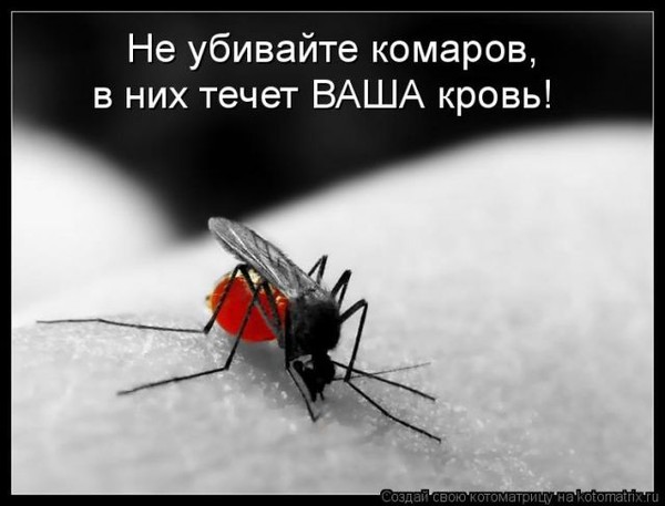 Вышивка Город. Наборы для вышивания Выход из отпуска по уходу за ребенком до 3 лет