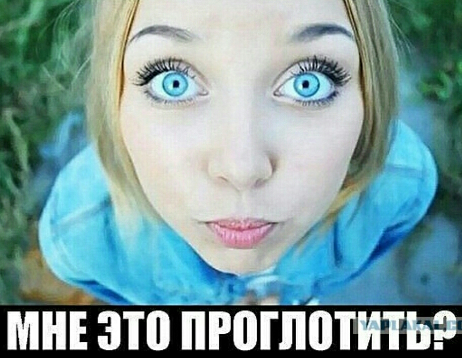 title=