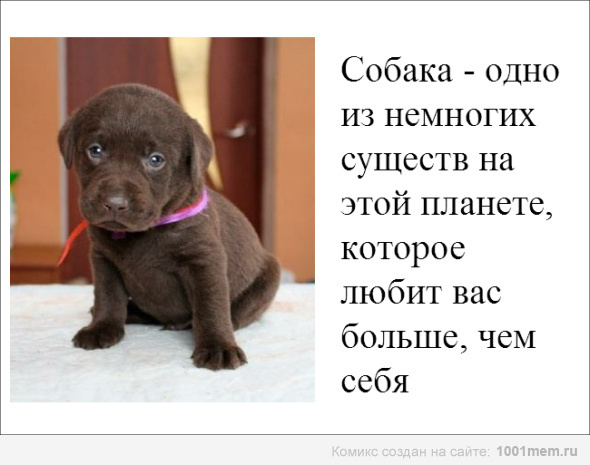 Оригинальные дизайнерские открытки купить Ну не злитесь, улыбнитесь Стихи (Лирика городская)