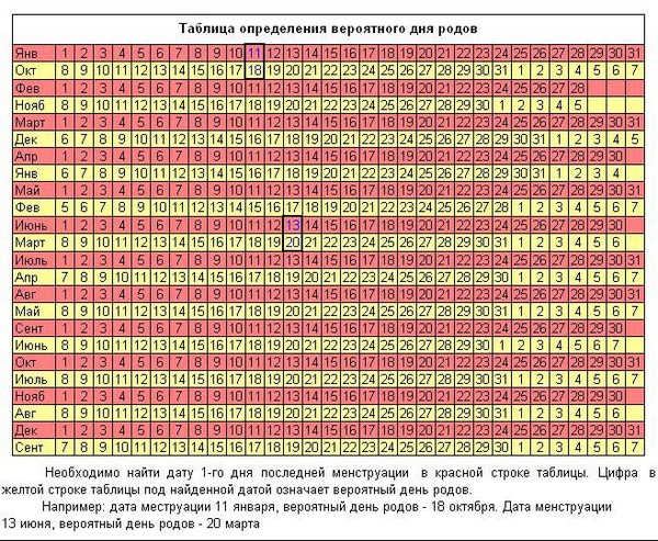 Видновский перинатальный центр Боровая матка в медицине: свойства, способы