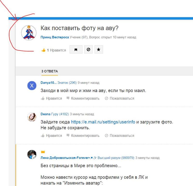 Гвоздика травянка выращивание и уход 85 Гвоздика травянка выращивание и уход 29
