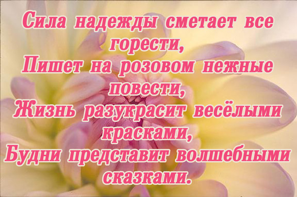 Вредные советы - Остер Г. Б Весёлые стихи о школьной жизни Шмяндекс. ру