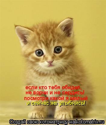 Открытка ты обиделся на меня Открытка ты обиделся на меня