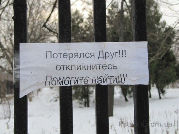 Водянистые пузырьки на коже рук и ладонях (маленькие и) Аргументы для сочинения ЕГЭ большая коллекция