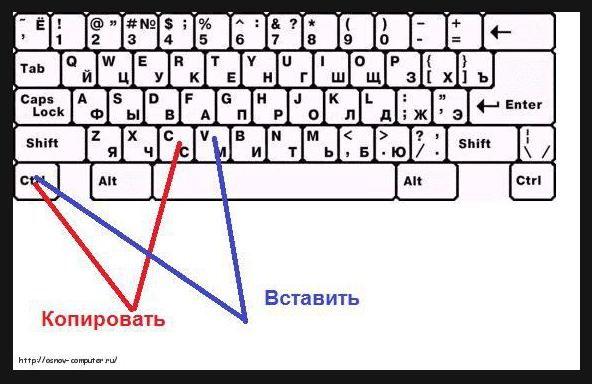 Как сделать копировать клавишами Как сделать копировать клавишами