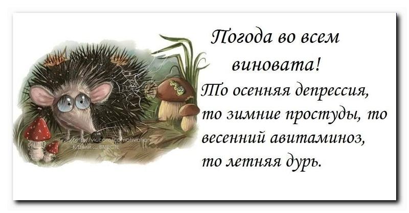 Проза у меня нет настроения Проза у меня нет настроения