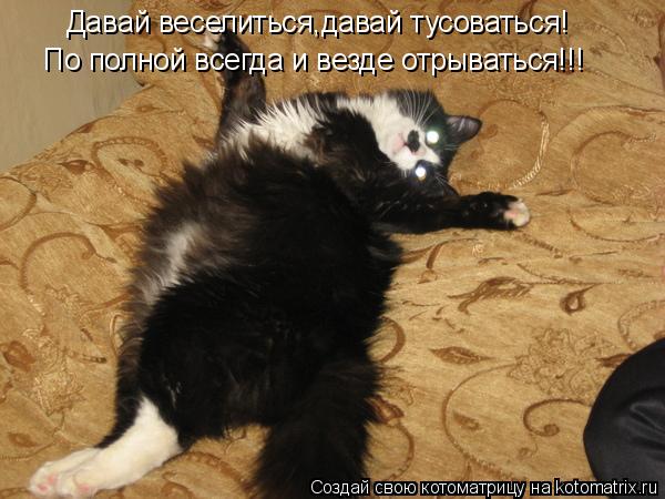Анекдот про веселье Анекдот про веселье