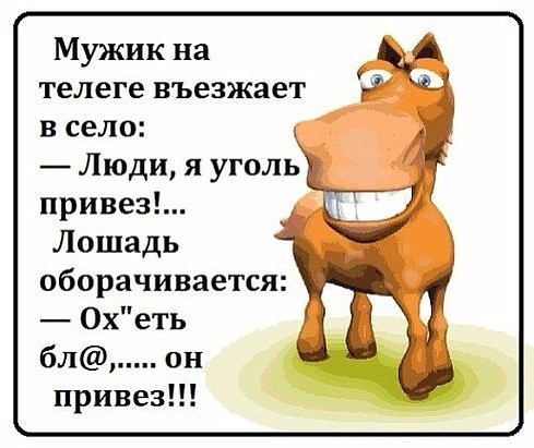 Тост про лошадь Тост про лошадь