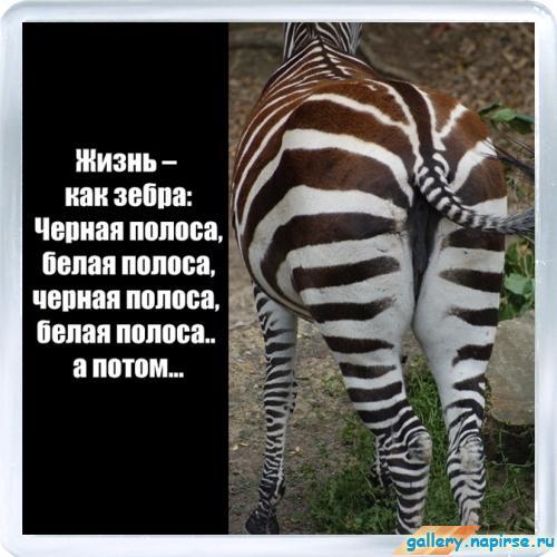 Поздравления черная полоса белая полоса черная