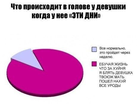 Что такое статус? Личные статусы Студопедия