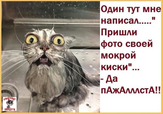 Анекдот про мокрую киску Анекдот про мокрую киску