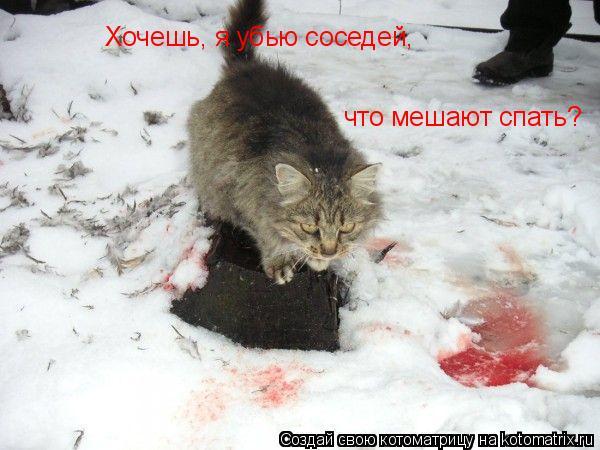 Закон о том когда мешают спать по ночам что делать