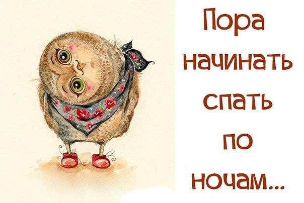 Чтоб не спать своими руками Чтоб не спать своими руками