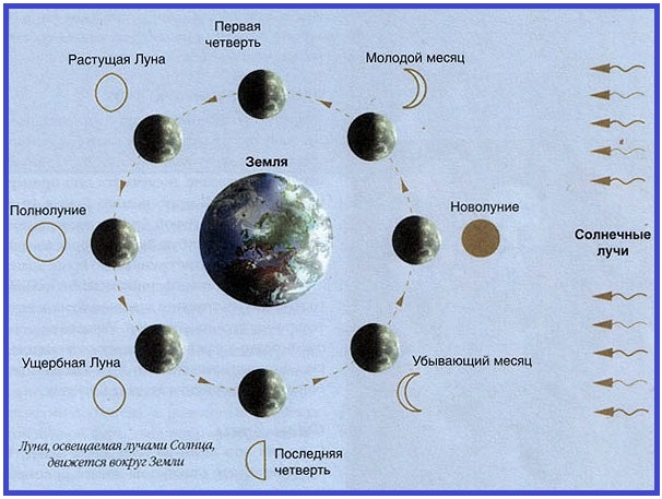 Схема расположения луны Схема расположения луны