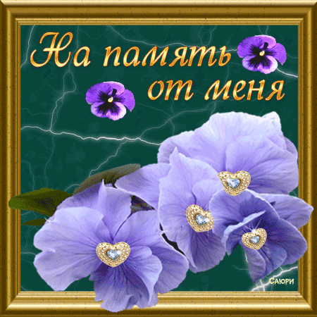 Я подарю тебе цветы на память Я подарю тебе цветы на память
