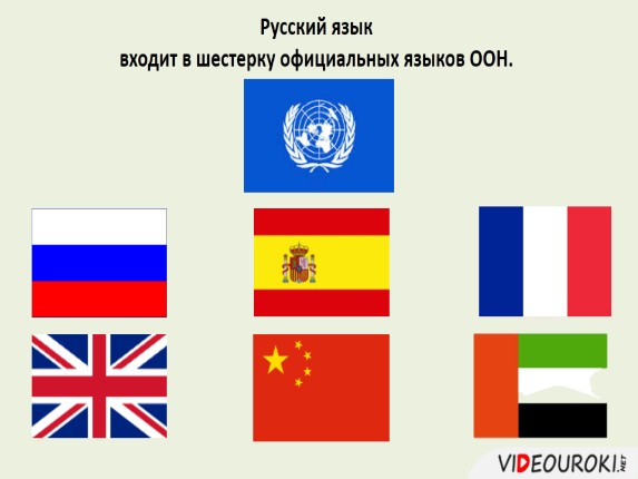 Какой язык имеет статус официального в оон Какой язык имеет статус официального в оон