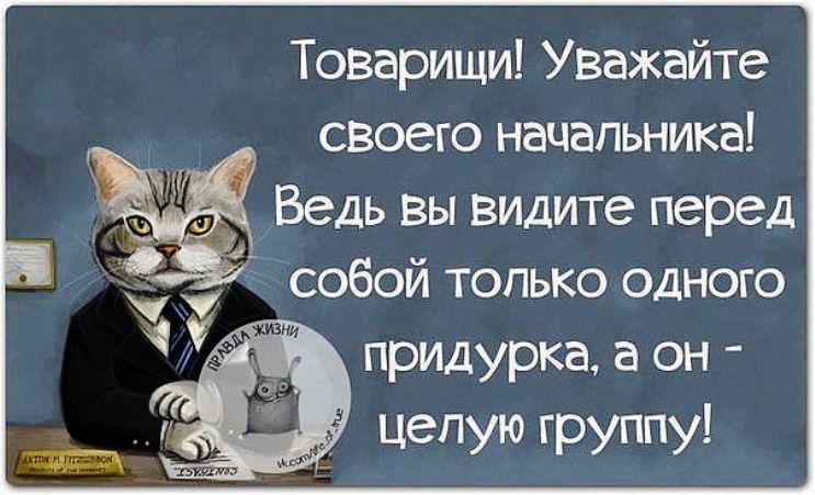 Про хорошего руководителя цитата Про хорошего руководителя цитата