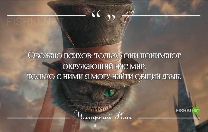 Крылатые фразы псих ты или нет Крылатые фразы псих ты или нет