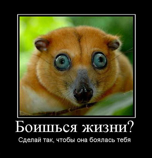 Как сделать так чтобы тебя все уважали заговор 90