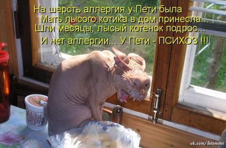 Пусти в домашних условиях Пусти в домашних условиях