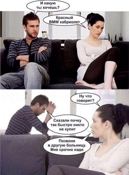 Подари мне свою почку Подари мне свою почку